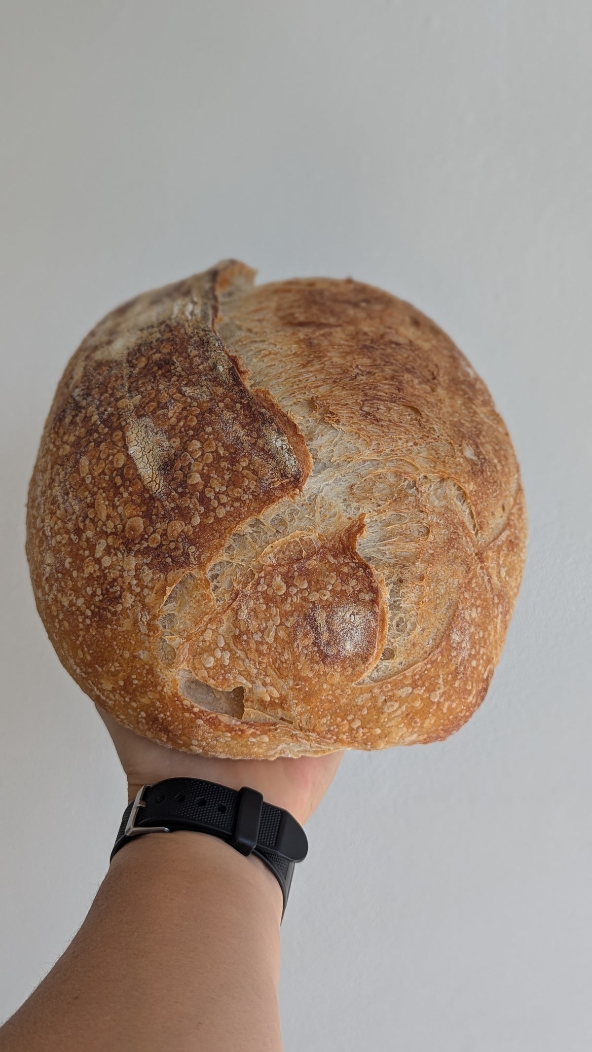 Traditional Sourdough Batard (Pre-order)