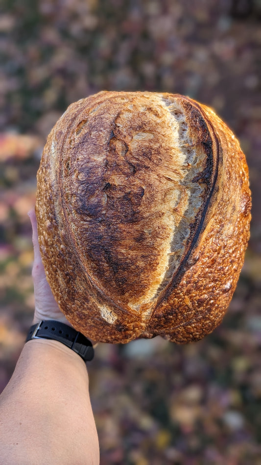 Wholewheat Batard (Pre-order)