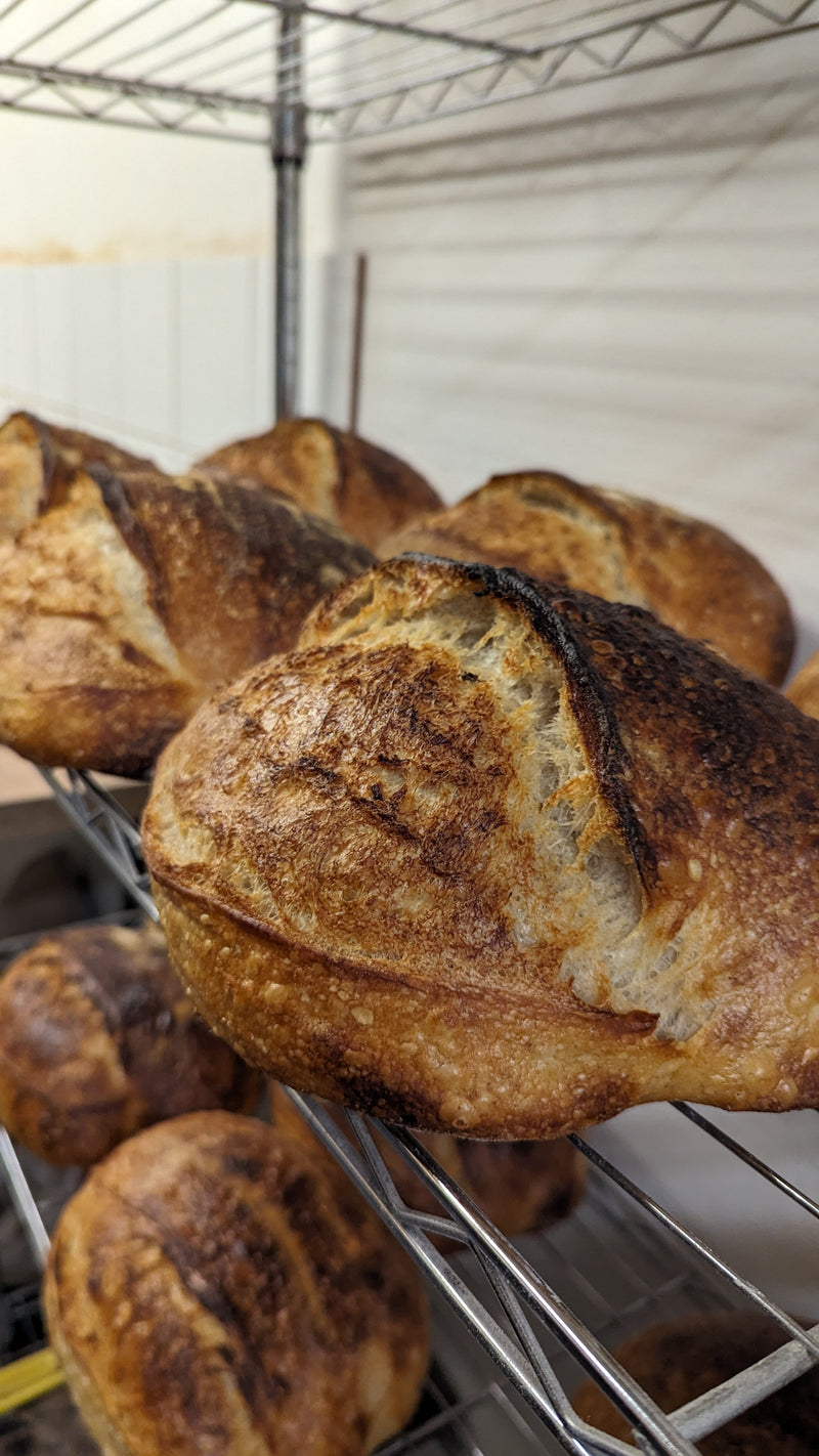 Sourdough Cooling