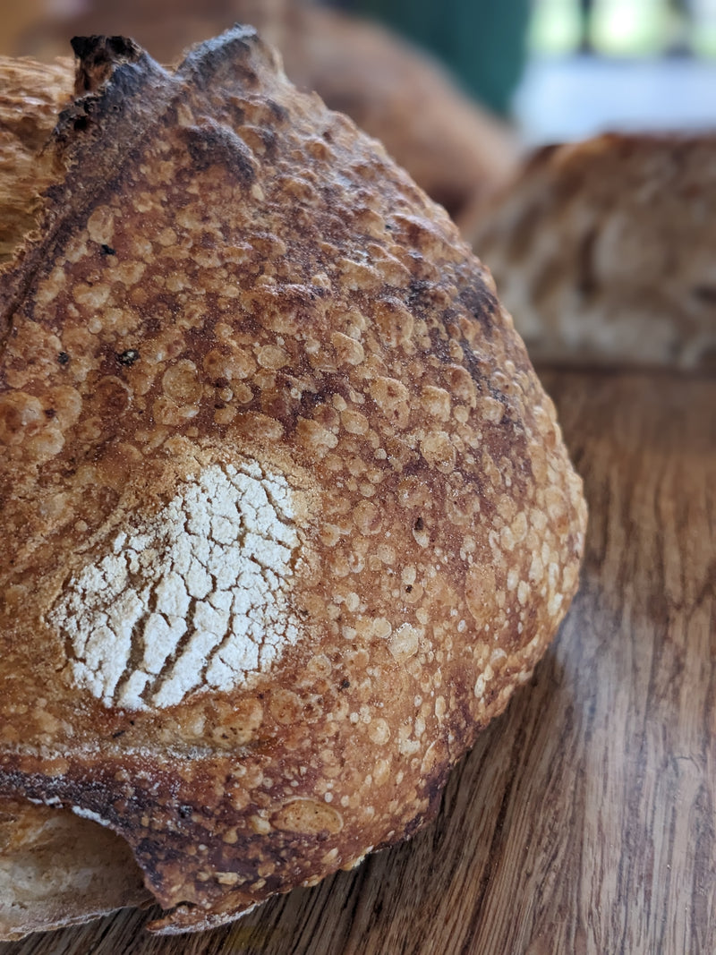 Sourdough Crust