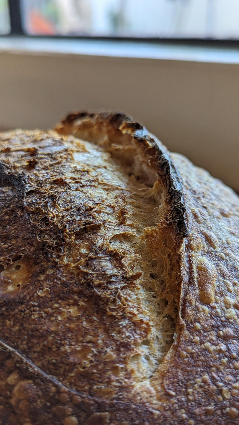 Sourdough Ear
