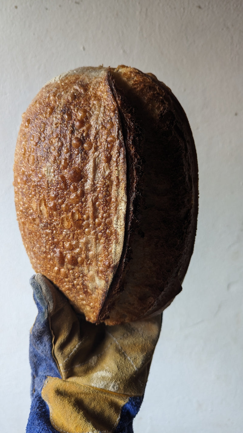 Sourdough From Oven