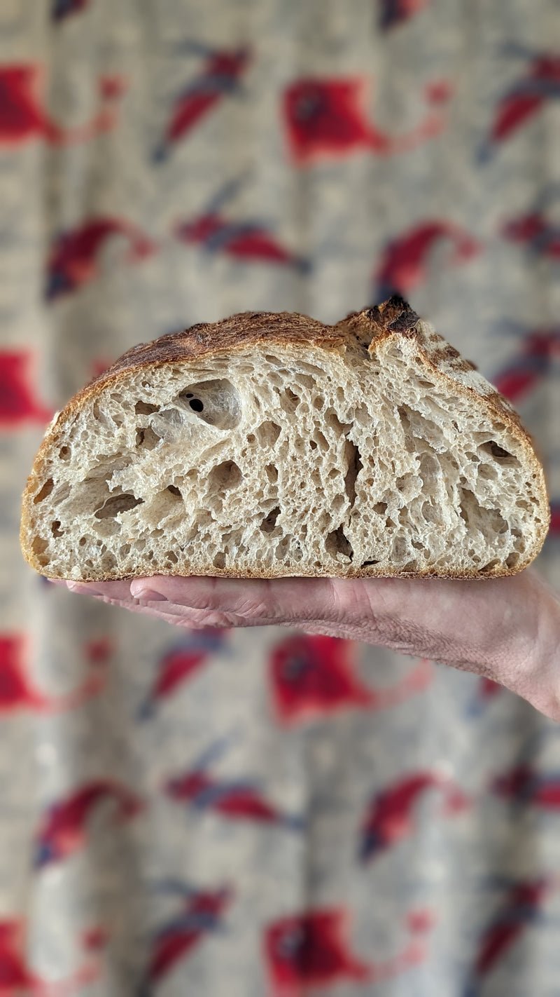 Sourdough Interior