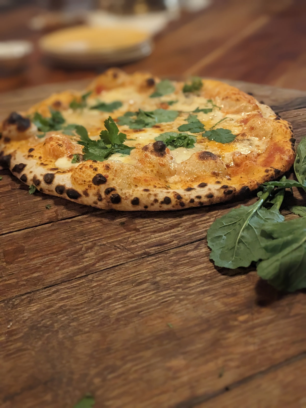 Sourdough Pizza Baked