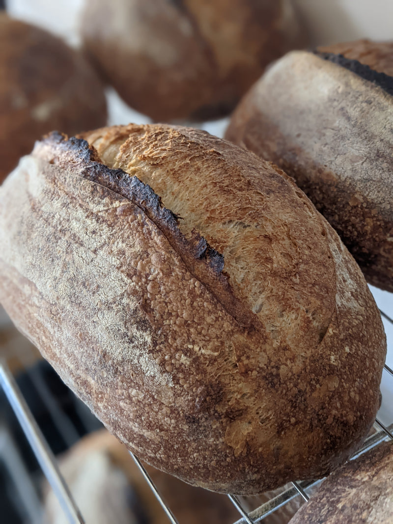 Sourdough Traditional Batard
