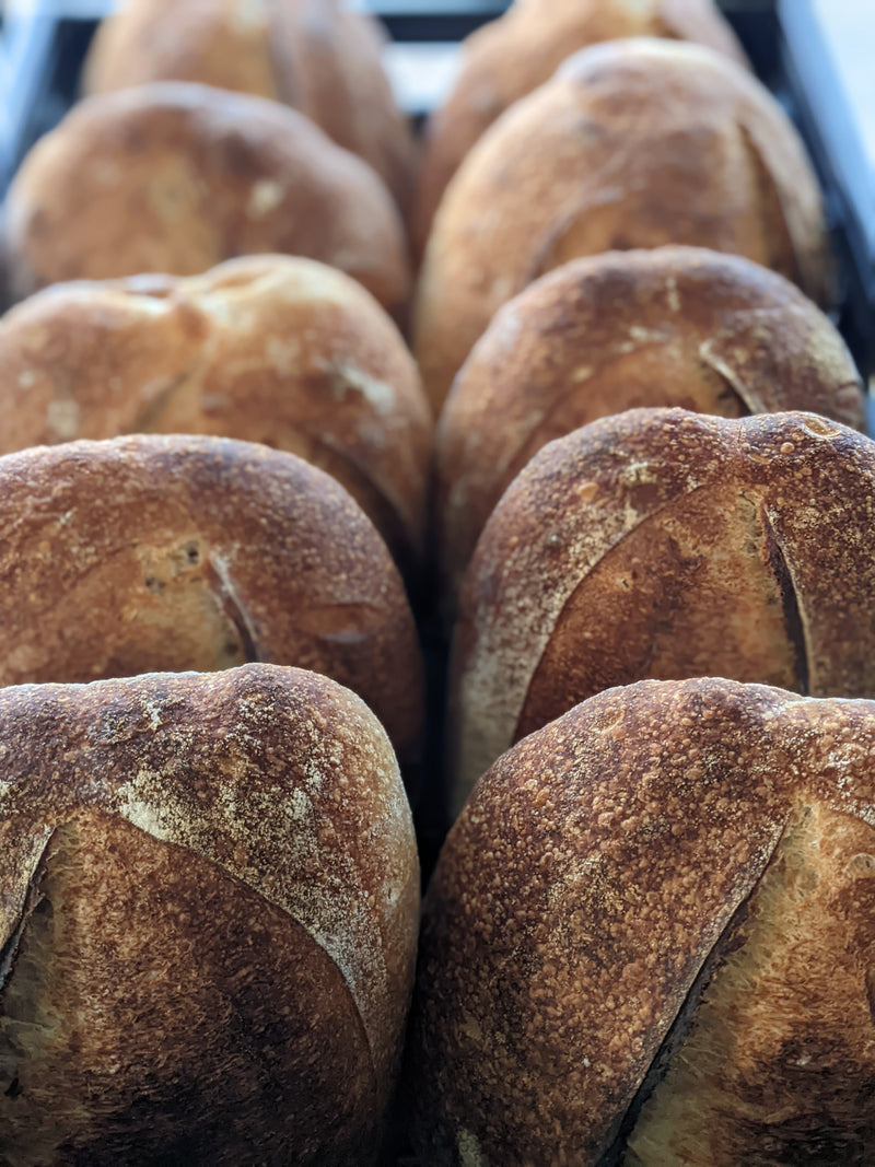 Sourdough Traditional Batch