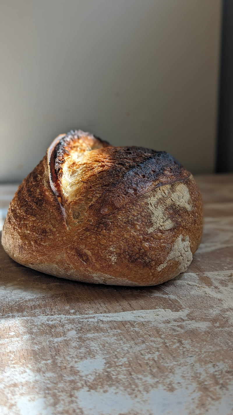 Sourdough on counter